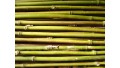 Rivercane Arrow Shafts (12 ct) TEMPORARILY SOLD OUT