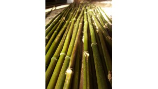 Rivercane Arrow Shafts (12 ct) BACK IN STOCK!!