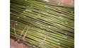 Rivercane Arrow Shafts (12 ct) TEMPORARILY SOLD OUT