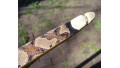 50 lb Copperhead Backed Osage Bow SOLD