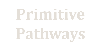 Primitive Pathways