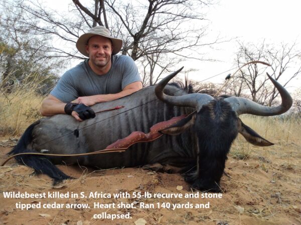 wildebeest killed with stone tipped arrow