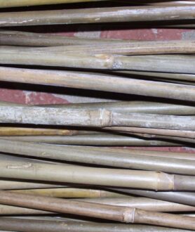 tonkin cane arrow shafts