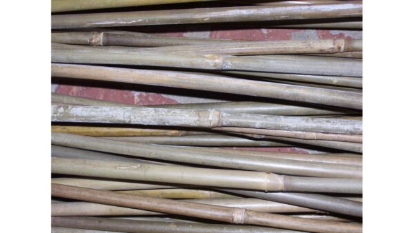 tonkin cane arrow shafts