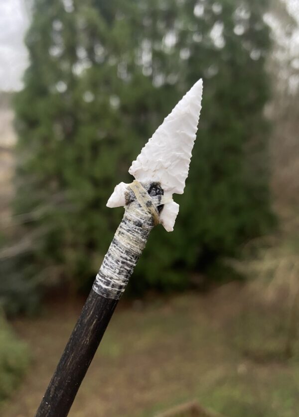 Apache Arrow Replica 2 – Primitive Pathways