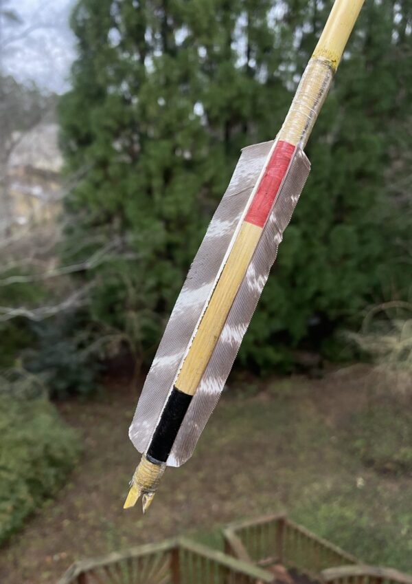 Apapuchi Raro Apache Arrow Replica 2 – Primitive Pathways
