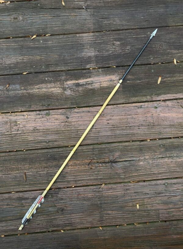 Apache Arrow Replica 2 – Primitive Pathways