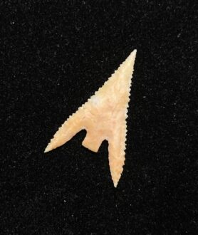 Gunther Barbed Arrowhead 2 (NEW!)