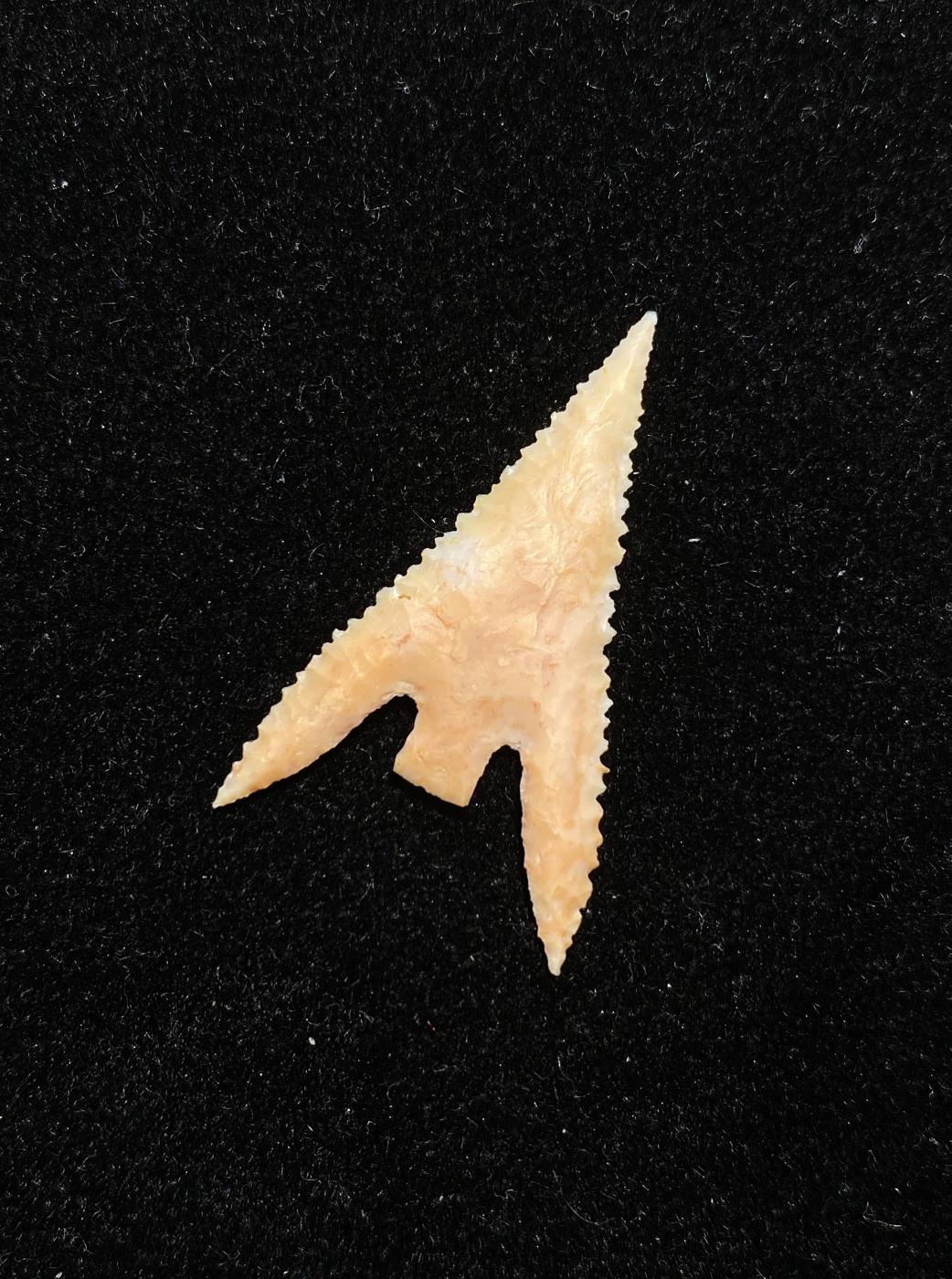 Gunther Barbed Arrowhead 2 (NEW!)