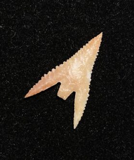 Gunther Barbed Arrowhead 3 (NEW!)