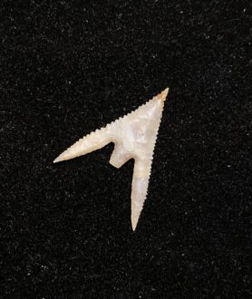 Gunther Barbed Arrowhead 1 (NEW!)