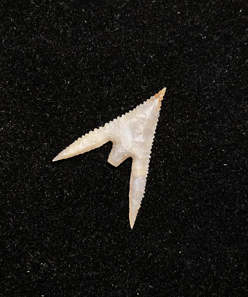 Gunther Barbed Arrowhead 1 (NEW!)