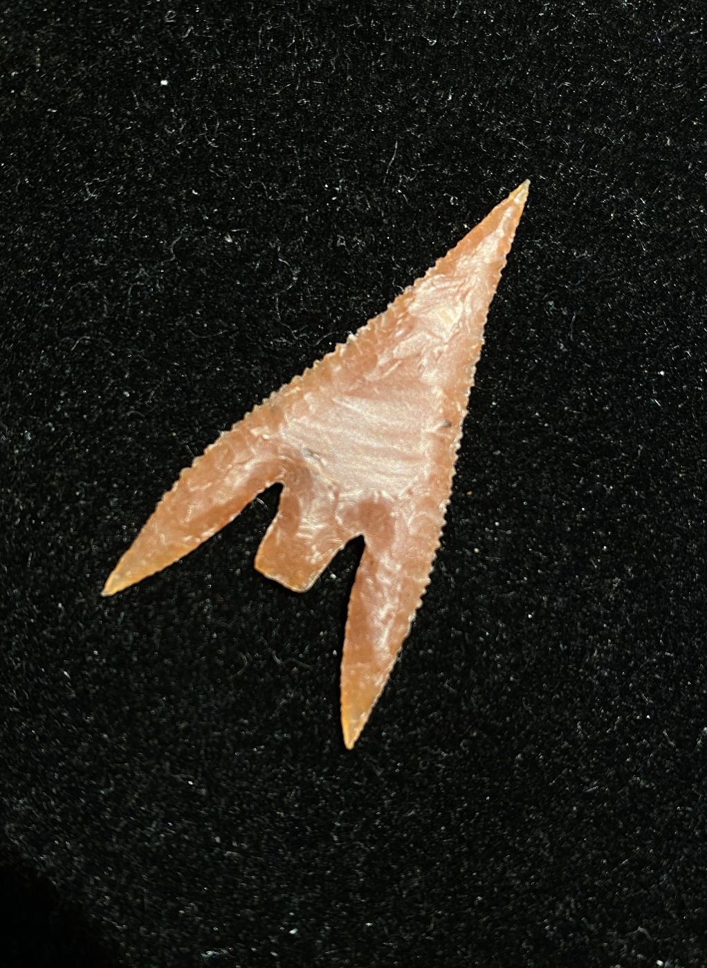 Gunther Barbed Arrowhead 5 (NEW!)