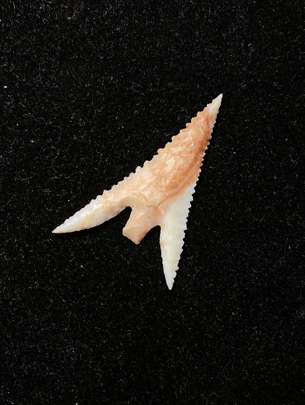Gunther Barbed Arrowhead 6 (NEW!)